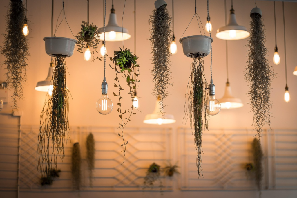 Béton & Chlorophylle : Créer une jungle intérieure dans un loft